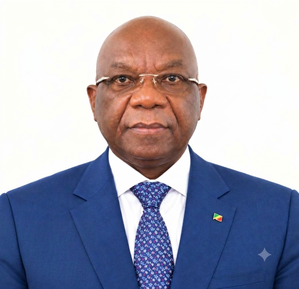 H.E. Mr. Raymond Serge Balé